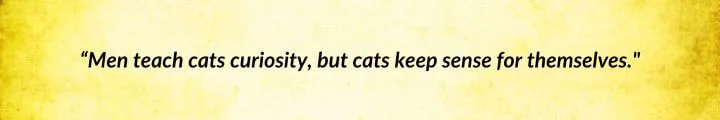 A yellow parchment with a Matrim Cauthon quote from A Crown of Swords reads: “Men teach cats curiosity, but cats keep sense for themselves.”